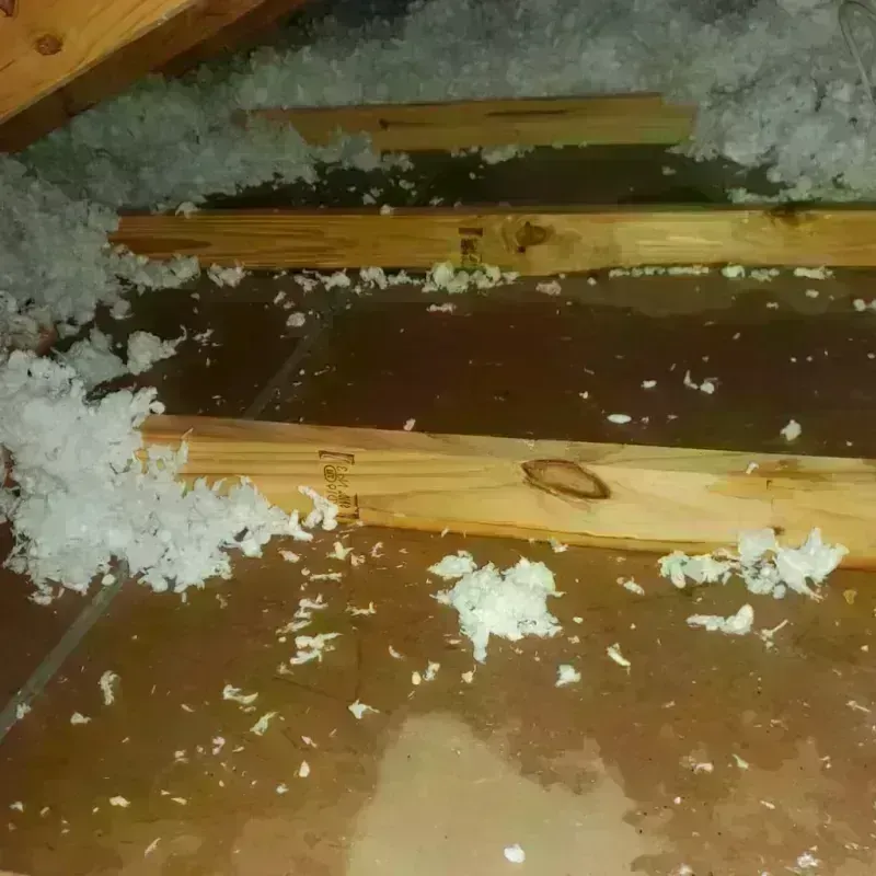 Attic Water Damage in Rio Del Mar, CA