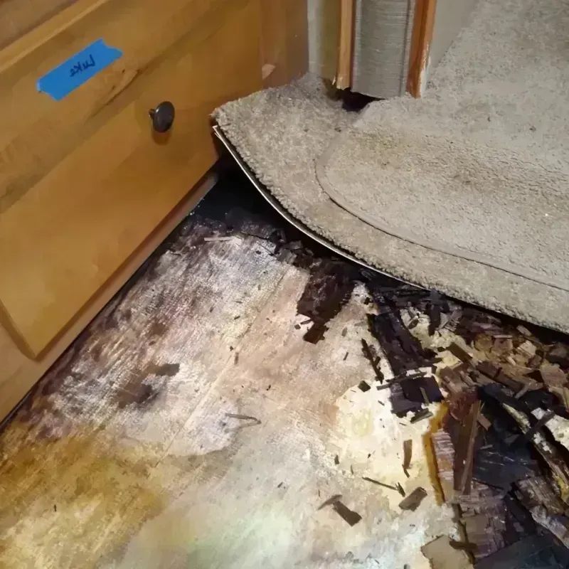 Wood Floor Water Damage in Rio Del Mar, CA